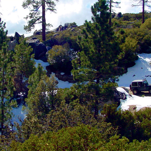 Parque Nacional San Pedro Mártir 
